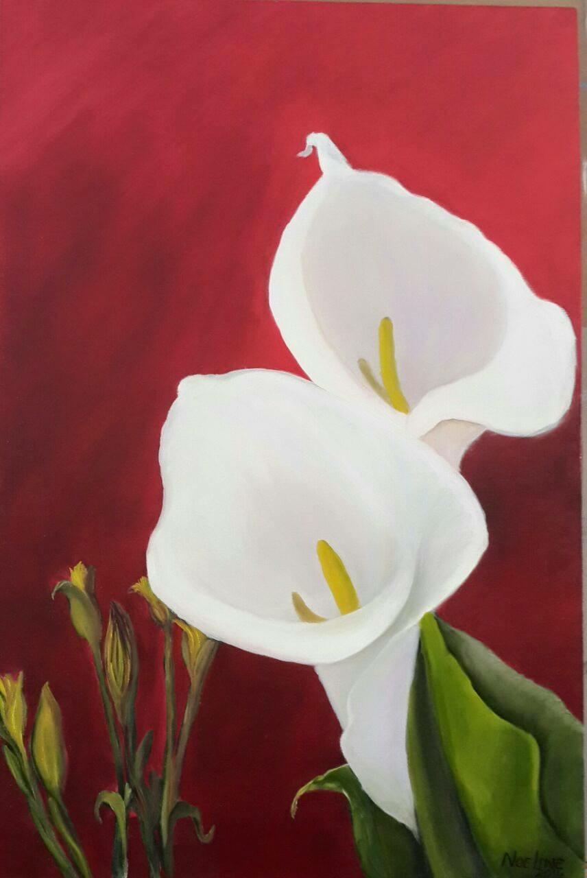 Arum Lilies