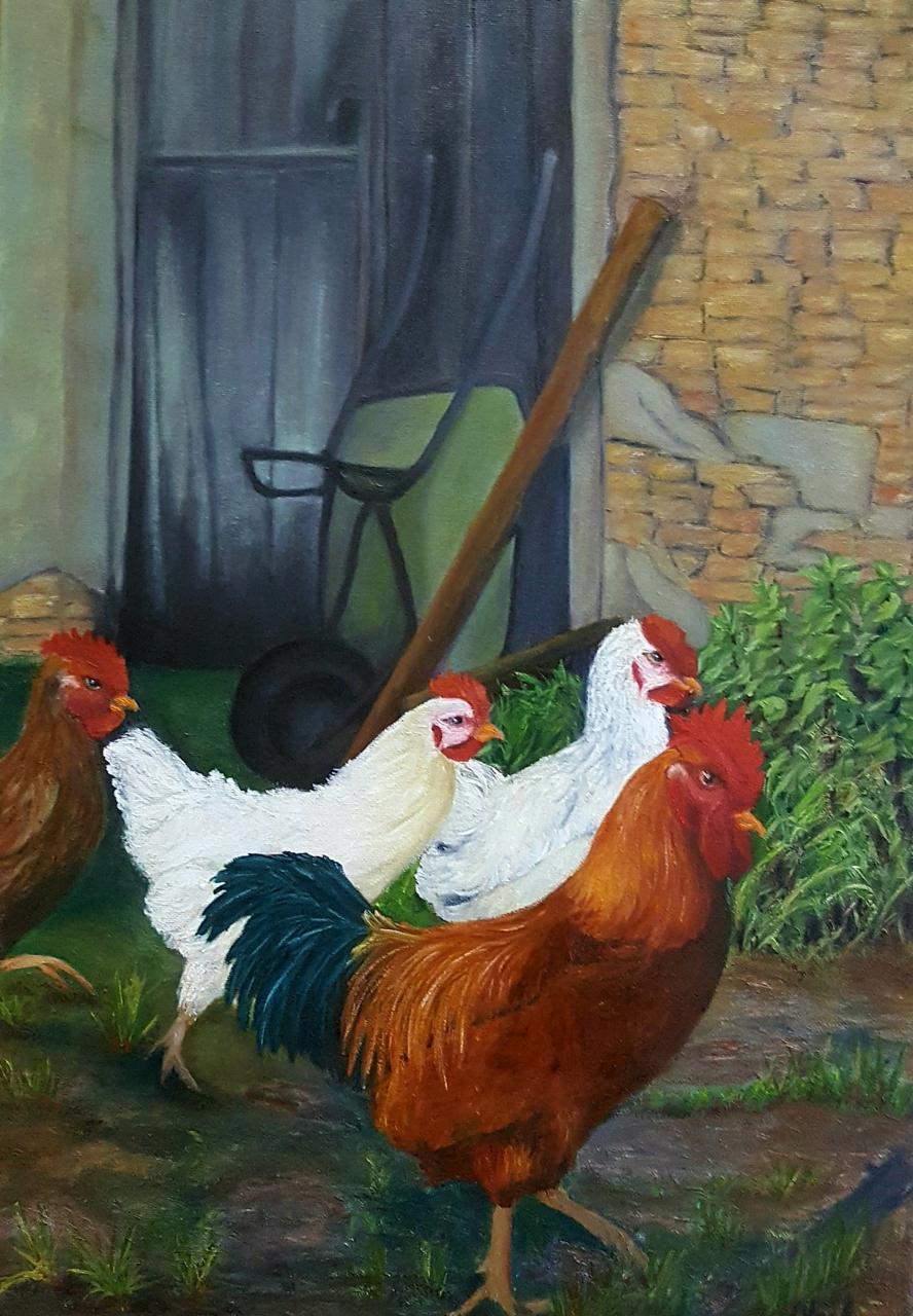 Farmyard Roosters