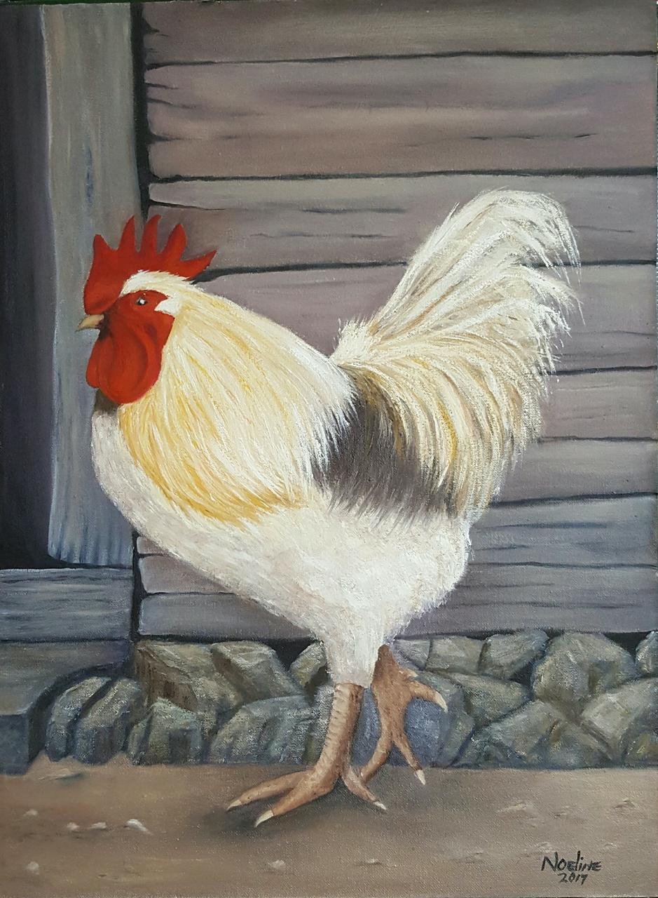 White Rooster