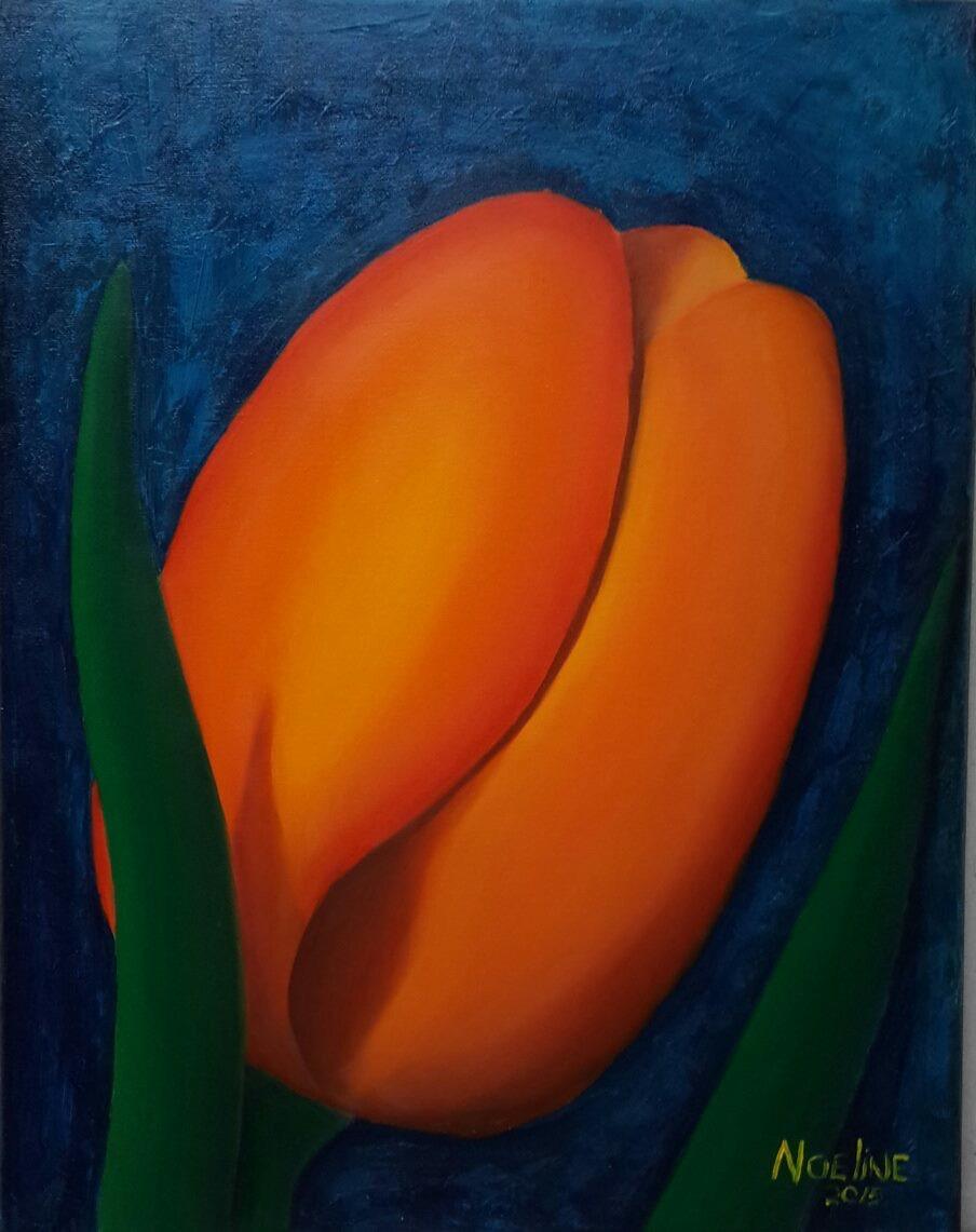 Orange Tulip